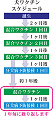 wakuchin_schedule.jpg